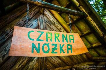 Фото Фермерские дома Leśniczówka Jednorożec г. Lipowo Kurkowskie 2